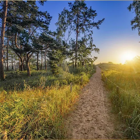 Hohe Buchen 3 * Heringsdorf (Usedom)